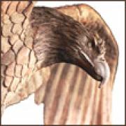 owamaxid