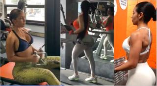 Fitness Models